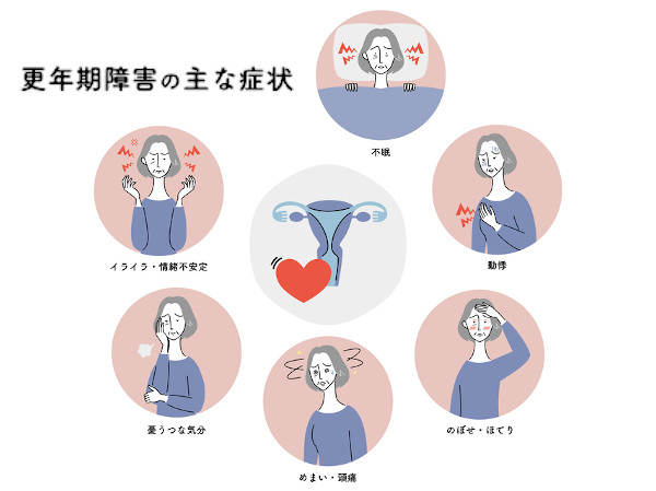 どのように機能するのでしょうか?