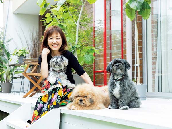 浅田美代子さん保護犬との出会い！年齢制限にも負けず