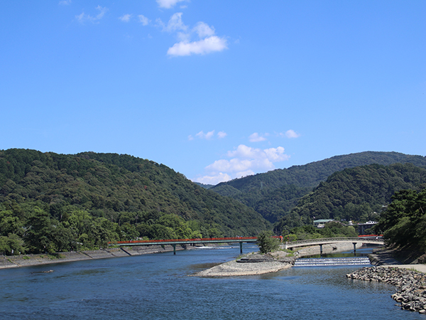 京都宇治川沿いの喜撰橋付近鵜飼船着き場と桜