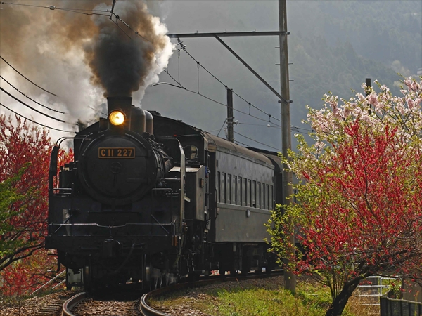 全国のSL（蒸気機関車）一挙紹介。汽笛と郷愁の旅へ | ハルメクカルチャー
