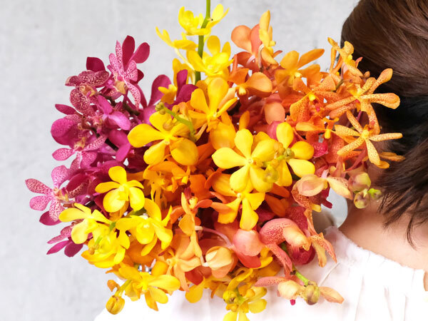 新しい蘭の品種「モカラ」で夏を楽しむ花あしらいを | ハルメク暮らし
