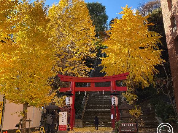 【ソロ活】で有意義な秋の東京を散策してみませんか？