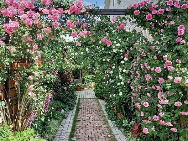 16種類のバラと花たちが彩る世界へ