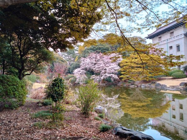 上野公園の隠れ花見スポット「東京国立博物館」