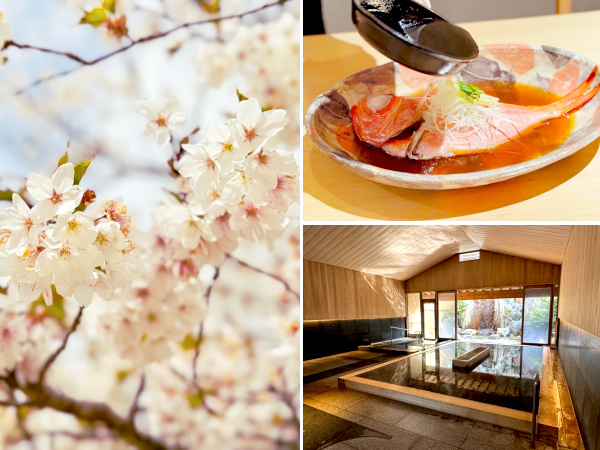春の伊東！満開の桜と絶品「金目鯛 椿蒸し」満喫旅