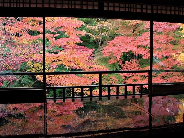 京都の秋・瑠璃光院へ