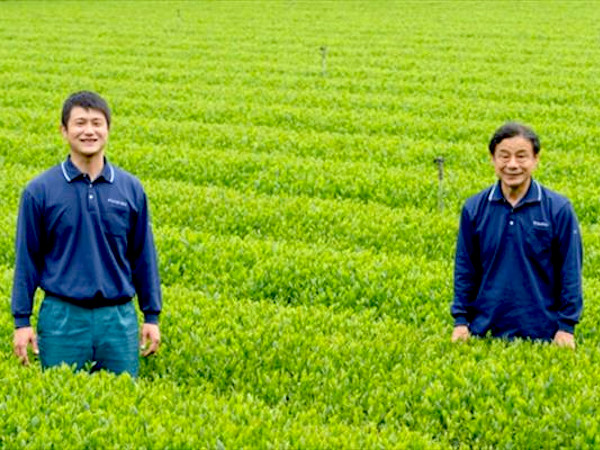 “若葉会”で若手の茶農家を育成【鹿児島県・堀口園】