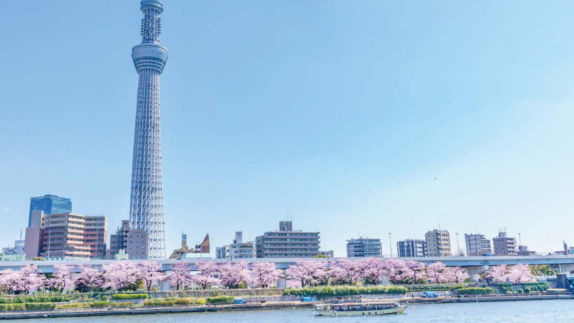 【4月1日開催】たてもの散歩 東京の歴史と貸切屋形船