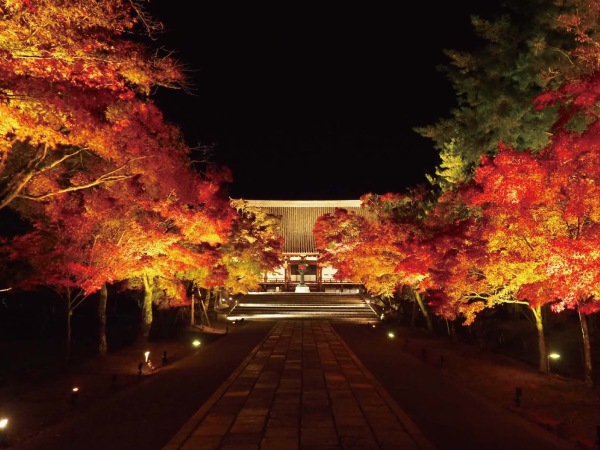 【旅行】仁和寺で貸切夜紅葉　ゆったり京都旅＜東京発・3日間＞