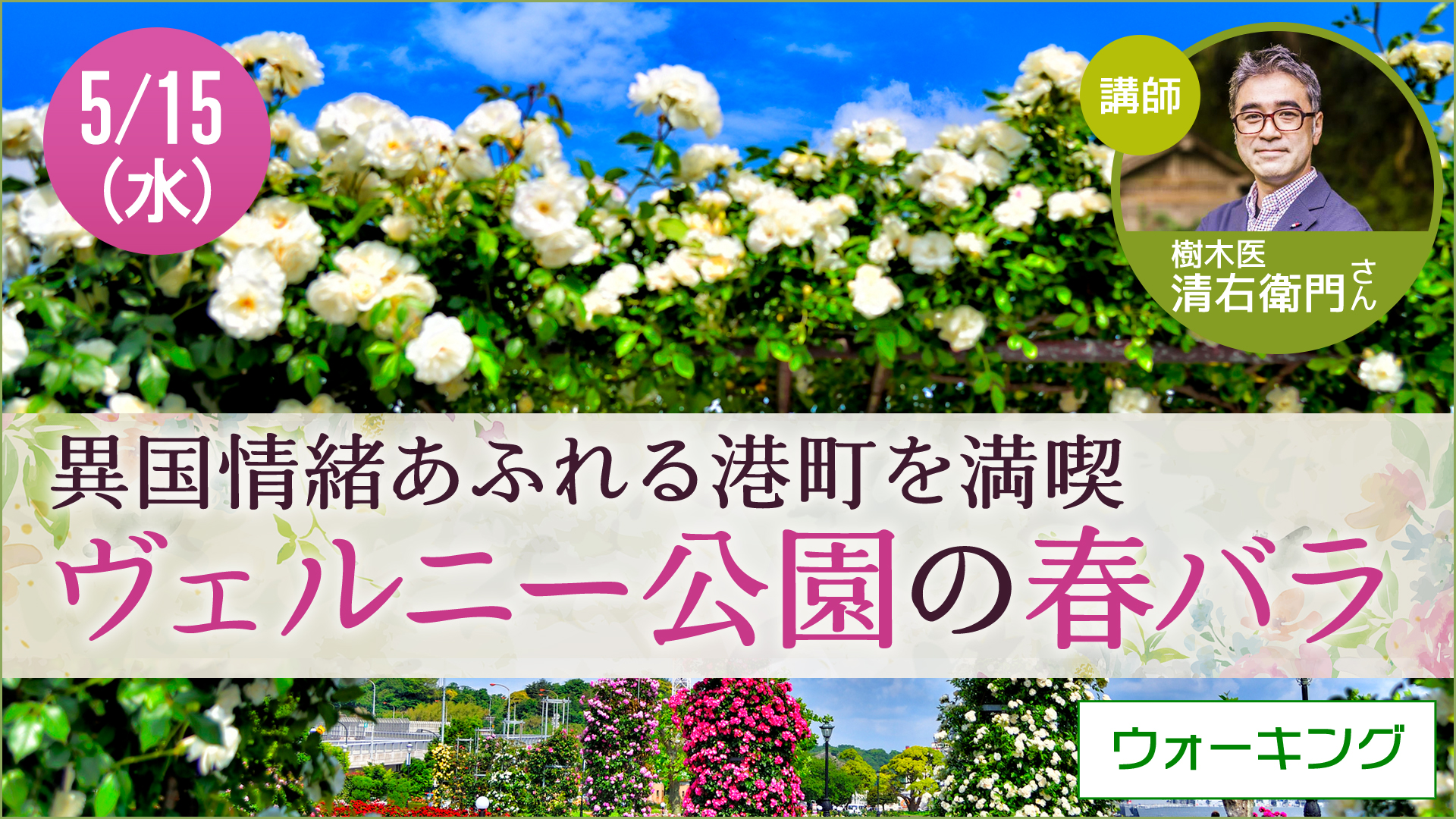 【5月15日開催】草花散歩　横須賀・ヴェルニー公園