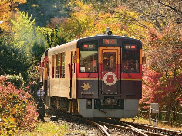 【旅行】わたらせ渓谷鐡道と富弘美術館＜上野発・日帰り＞