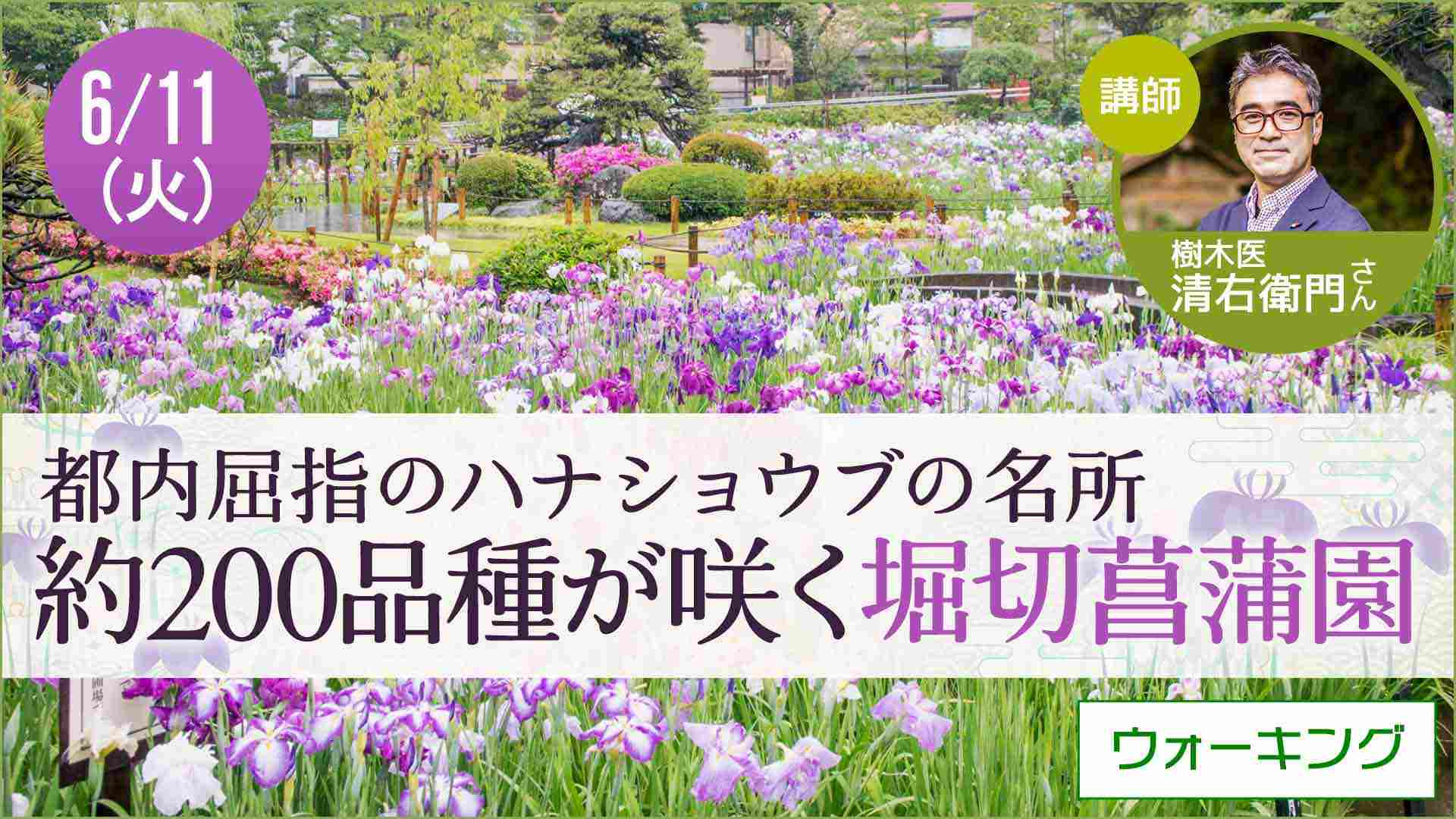 【6月11日開催】草花散歩　東京・堀切菖蒲園