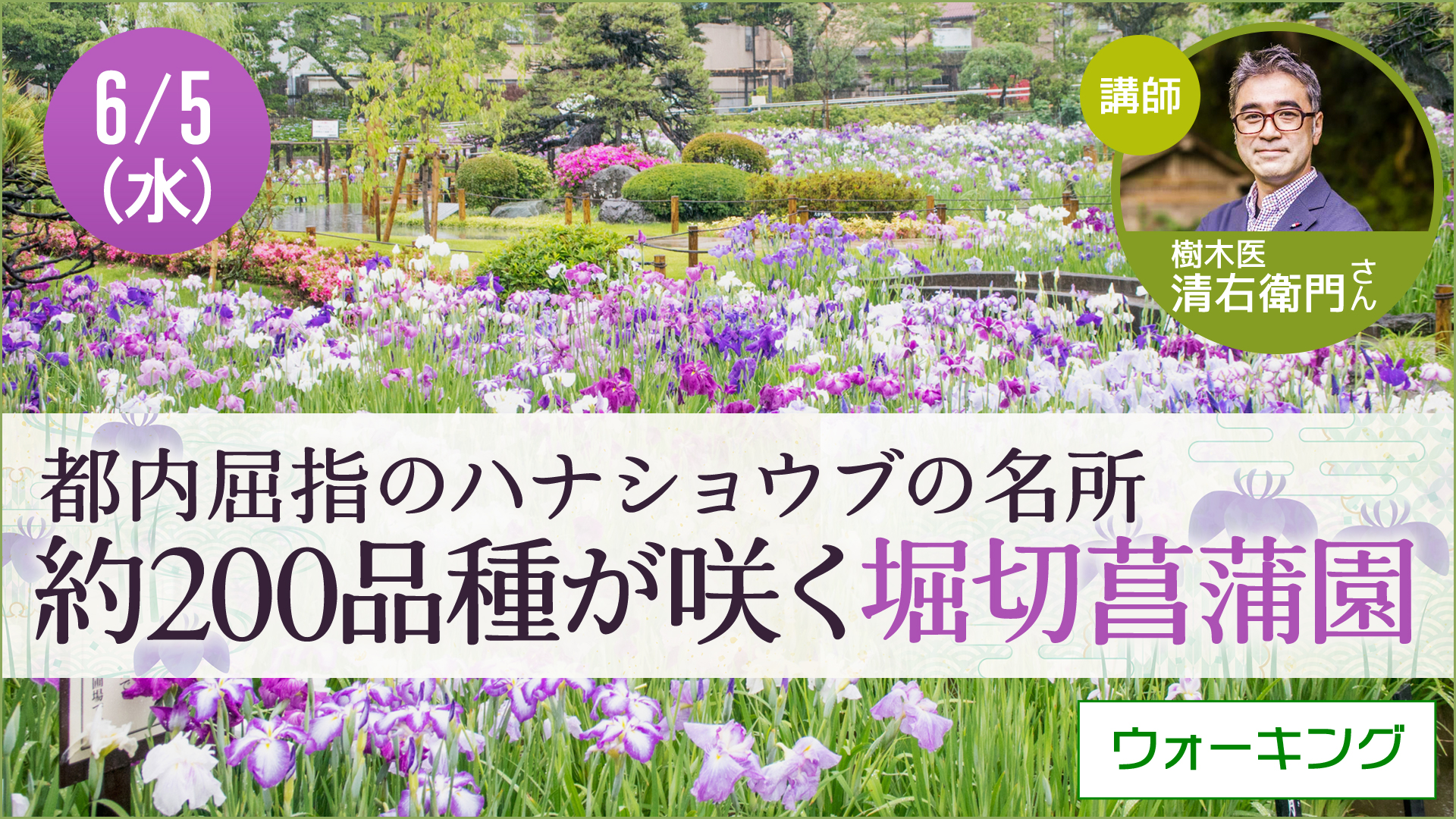【6月5日開催】草花散歩　東京・堀切菖蒲園