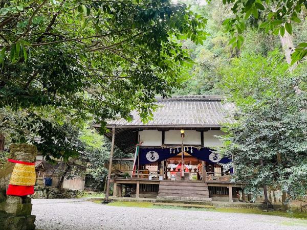 【旅行】近鉄特急・ひのとりで行く葛城五社＜名古屋発・日帰り＞