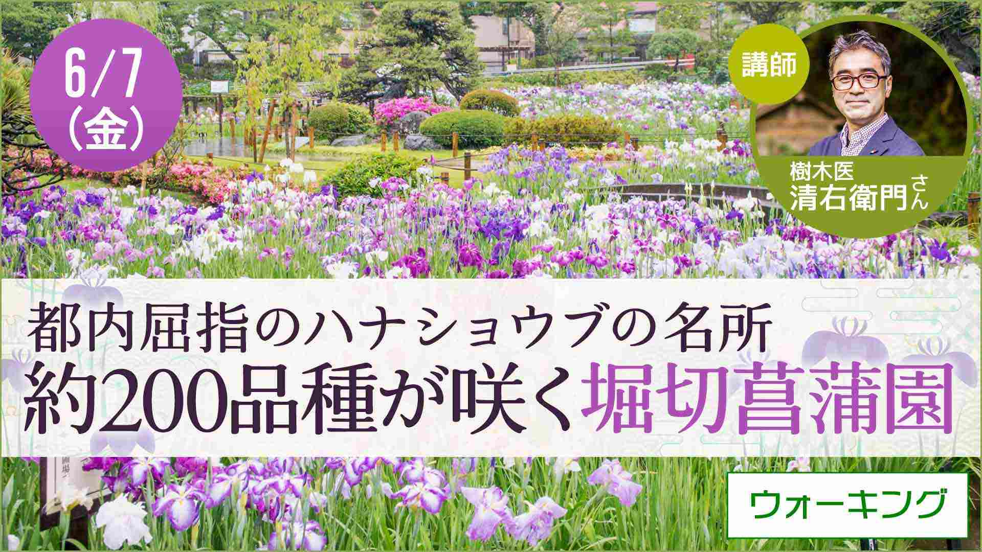 【6月7日開催】草花散歩　東京・堀切菖蒲園