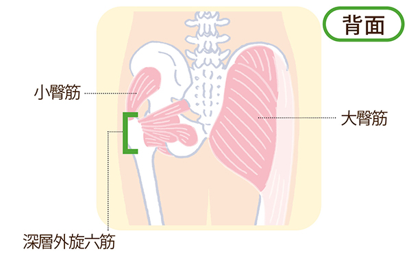 「股関節ほぐし」がたるみに効くプロセスは？