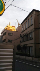 ビルの上のキリン