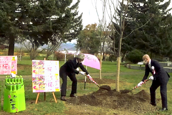 伊藤園「わたしの街の未来の桜プロジェクト」