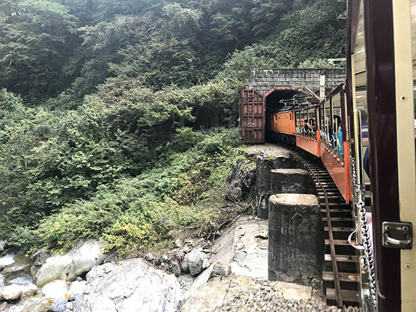 大自然の中を進んで行くトロッコ電車