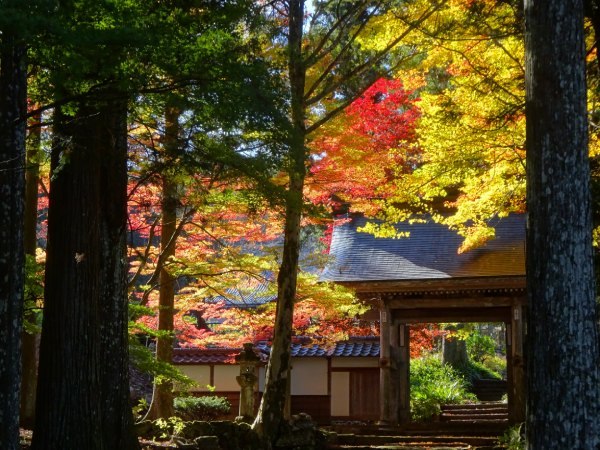 今年一番の紅葉！