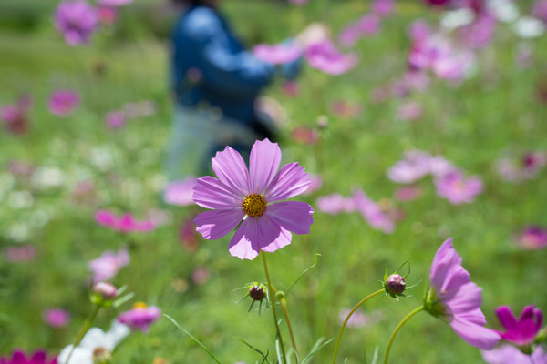 あなたの「誰かのために、何かのために」は何でしょうか