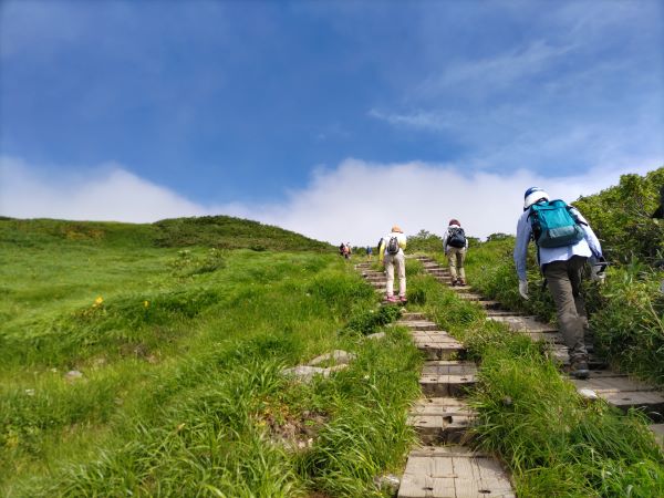 初級レベルの楽勝登山コース