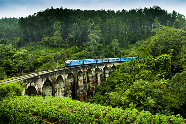 スリランカの鉄道は植民地時代、紅茶を運ぶために造られた。（ナインアーチブリッジ/スリランカ観光局提供）