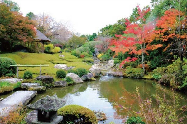 妙心寺・退蔵院