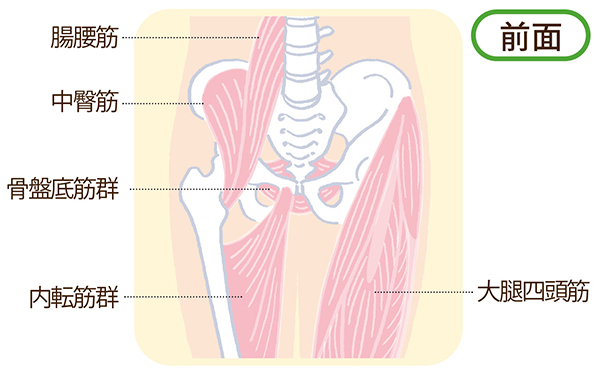 「股関節ほぐし」がたるみに効くプロセスは？