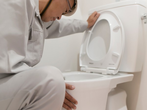 が た トイレ 時 詰まっ トイレのつまりの原因と解消方法