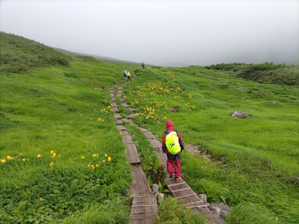 初級レベルの楽勝登山コース