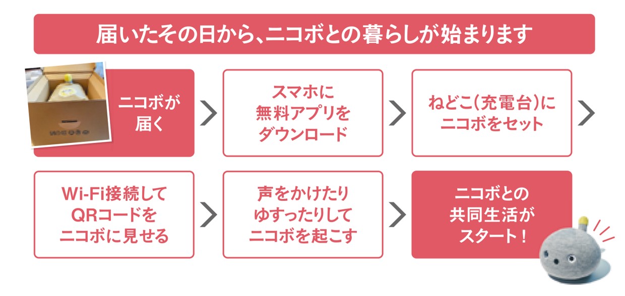 届いたその日からニコボとの暮らしが始まります