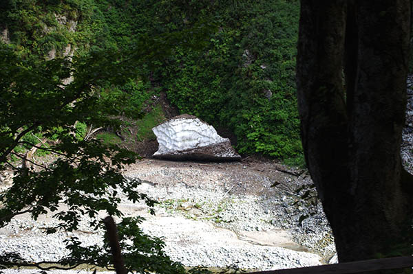 岩の上に残っている万年雪