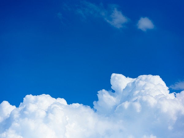 青いうんちの対処方法