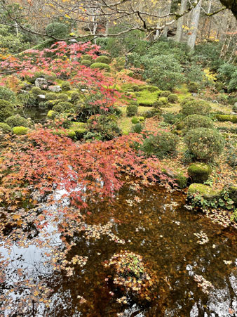 大原三千院から上賀茂神社へ！グルメもおみやげも探しも堪能