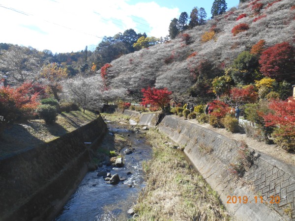 四季桜の里(川見地区）の絶景