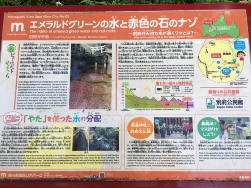 美しさのナゾが解説されています。