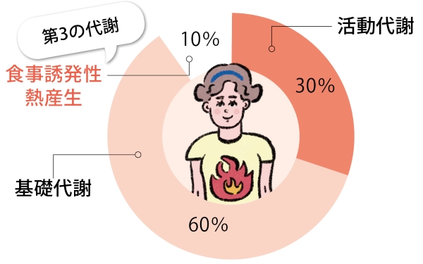 食べただけでエネルギーを消費する「第3の代謝」に注目