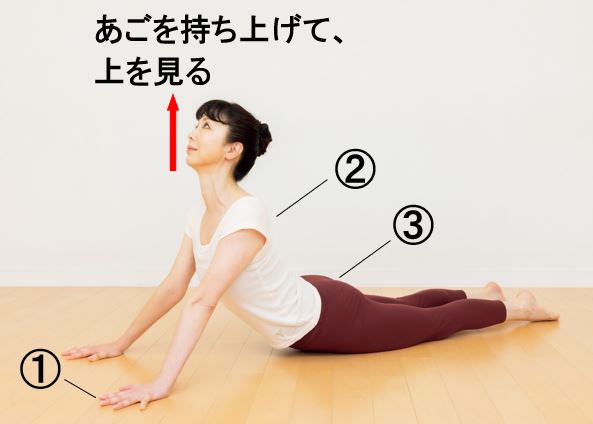 うつぶせでできる全身の動き2：上体を起こす