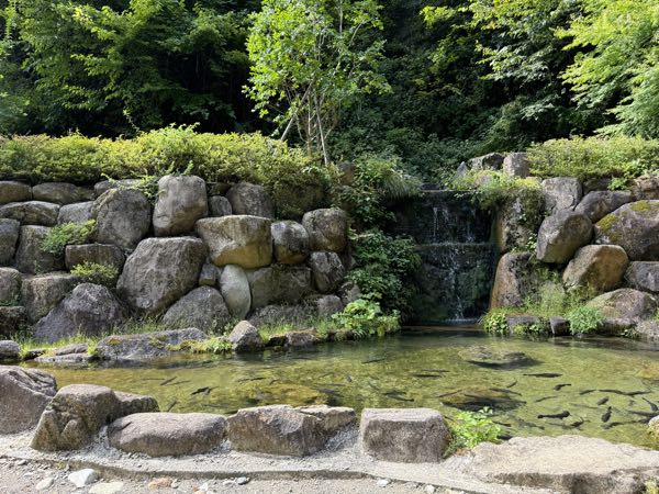 探検隊の気分で自然の神秘に魅せられる！飛騨大鍾乳洞へ