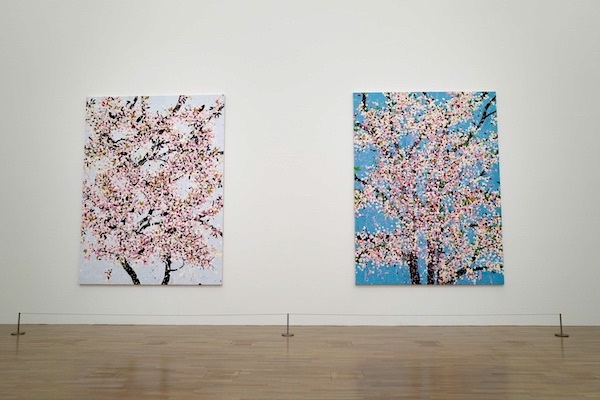 「＜桜＞のシリーズは美と生と死についての作品なんだ」―ダミアン・ハースト
