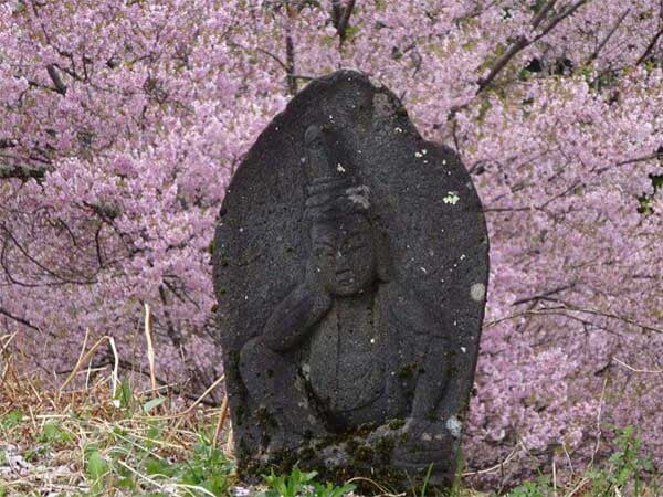 桜に癒やされ、仏に祈る