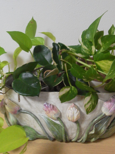 いわき市で作ったプランターケース