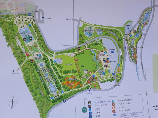 神奈川県立相模原公園へのアクセス