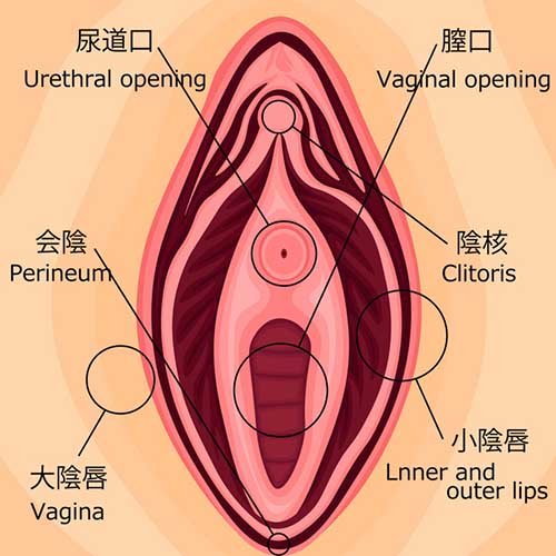 自分のデリケートゾーンの状態を知っておこう