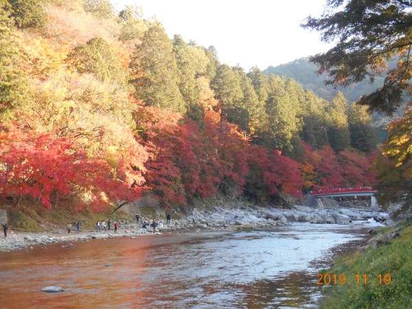 香嵐渓の紅葉  