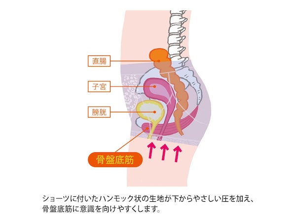 ハルメク　ヘルスプラス・骨盤底筋＆ヒップサポートショーツ