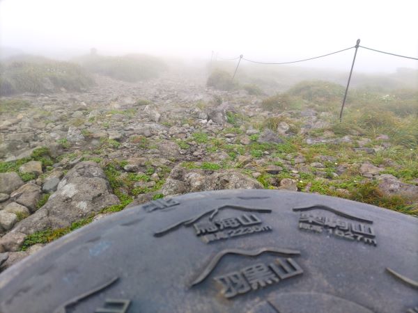 初級レベルの楽勝登山コース