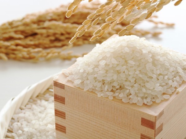 お米の品種って、何種類あるの？