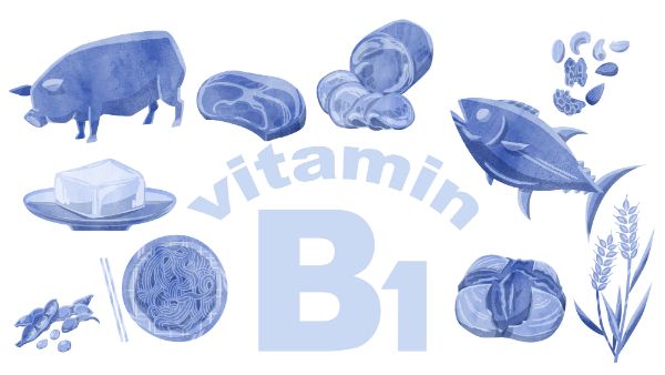 ビタミンB1が豊富な食べ物ランキング